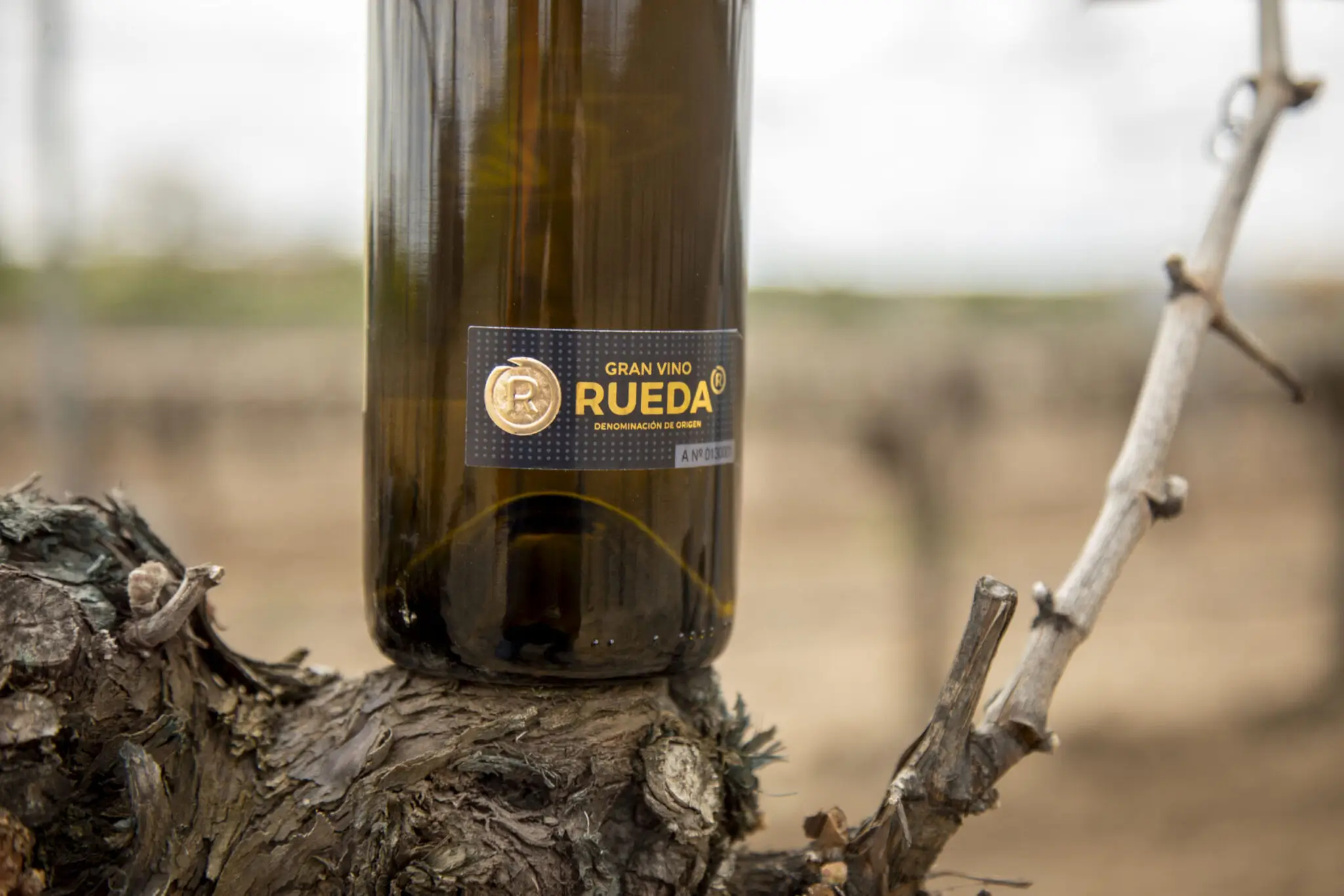 Gran Vino de Rueda
